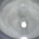 azúcar glass PB010059